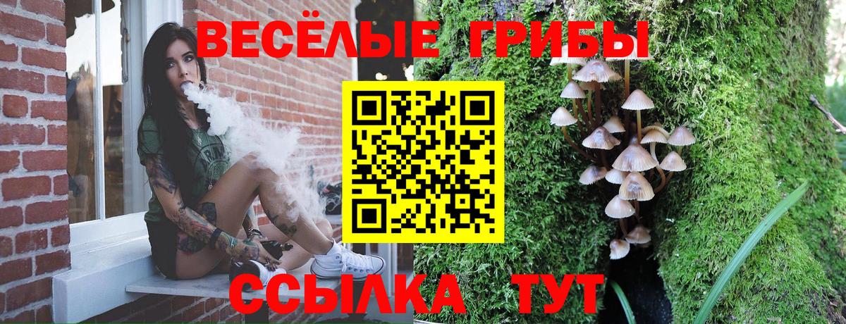 Псилоцибиновые грибы GOLDEN TEACHER Нижнекамск