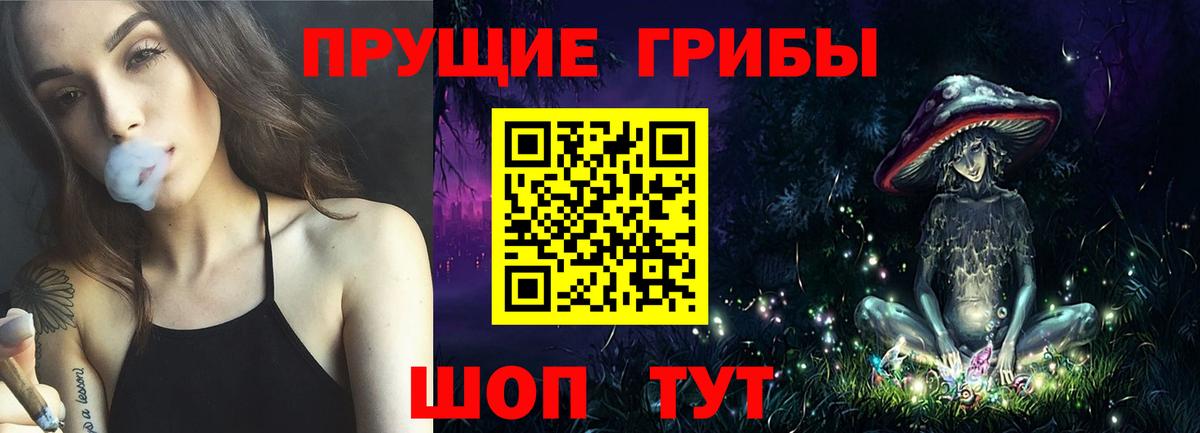 Галлюциногенные грибы MAGIC MUSHROOMS  сколько стоит  Нижнекамск  Вход с VPN 